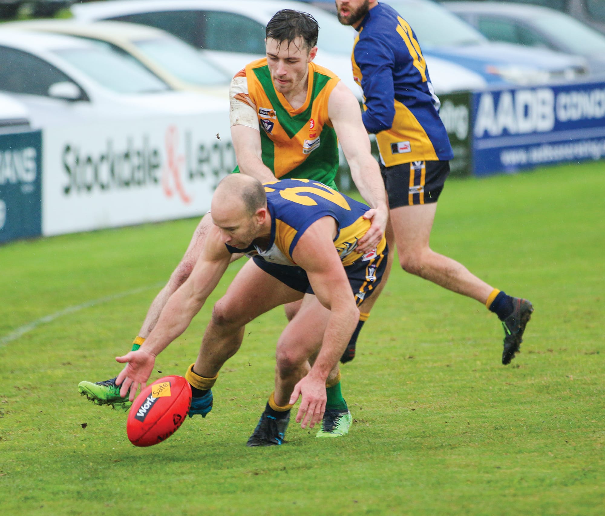 Sea Eagles do it easily at home