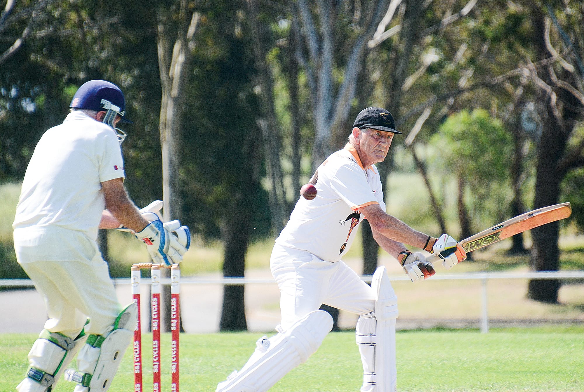 Close win for the Goannas