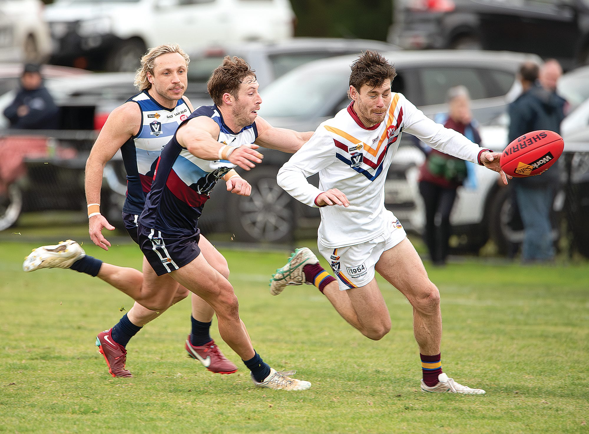 Panthers pounce on another win