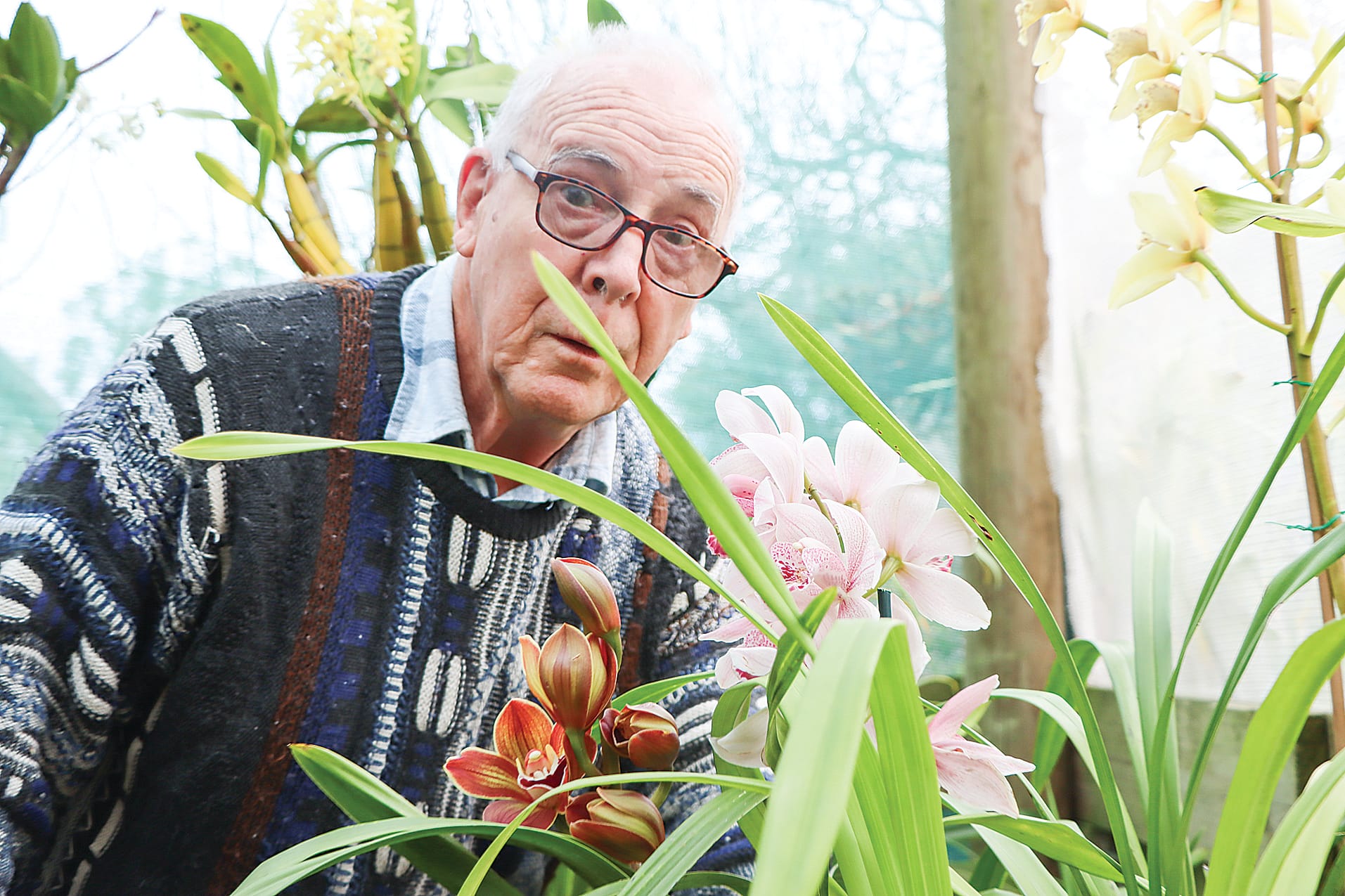 Growers will be on hand to provide plenty of helpful advice at the 34th Annual South Gippsland Orchid Show Orchid Show in Wonthaggi.