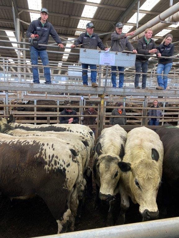 These Speckled Park cattle, sold on account of M&T Prosser of Jeetho sold for $1050 which was down the bottom end of returns at Koonwarra last Friday or $2.16 per kg.
