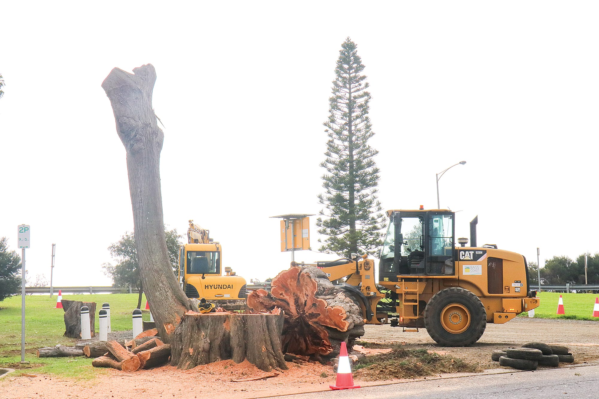 Trees works underway in San Remo