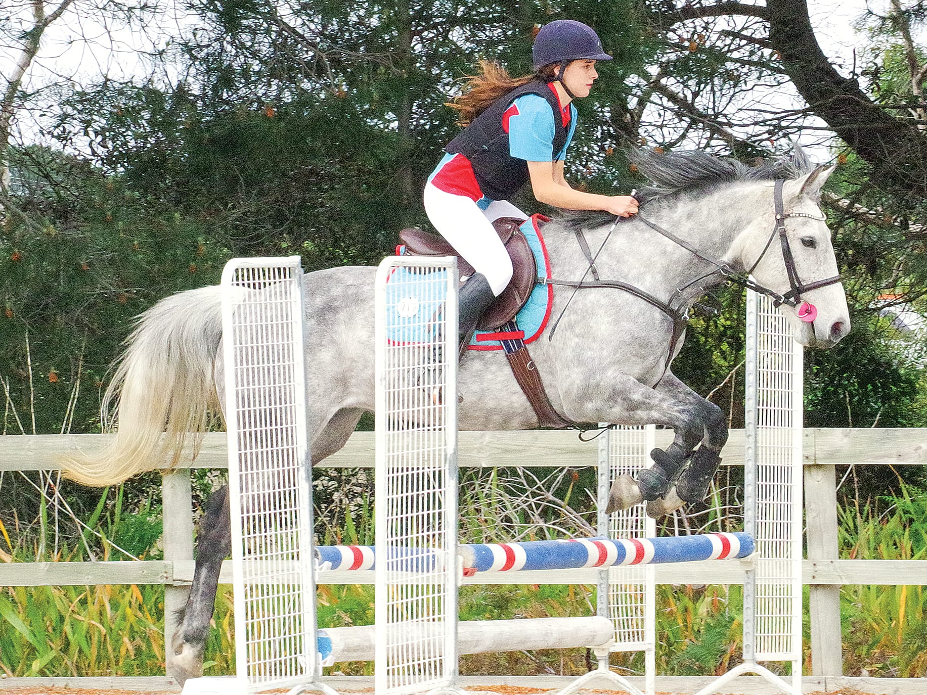 Wonthaggi Pony Club leaps into show jumping