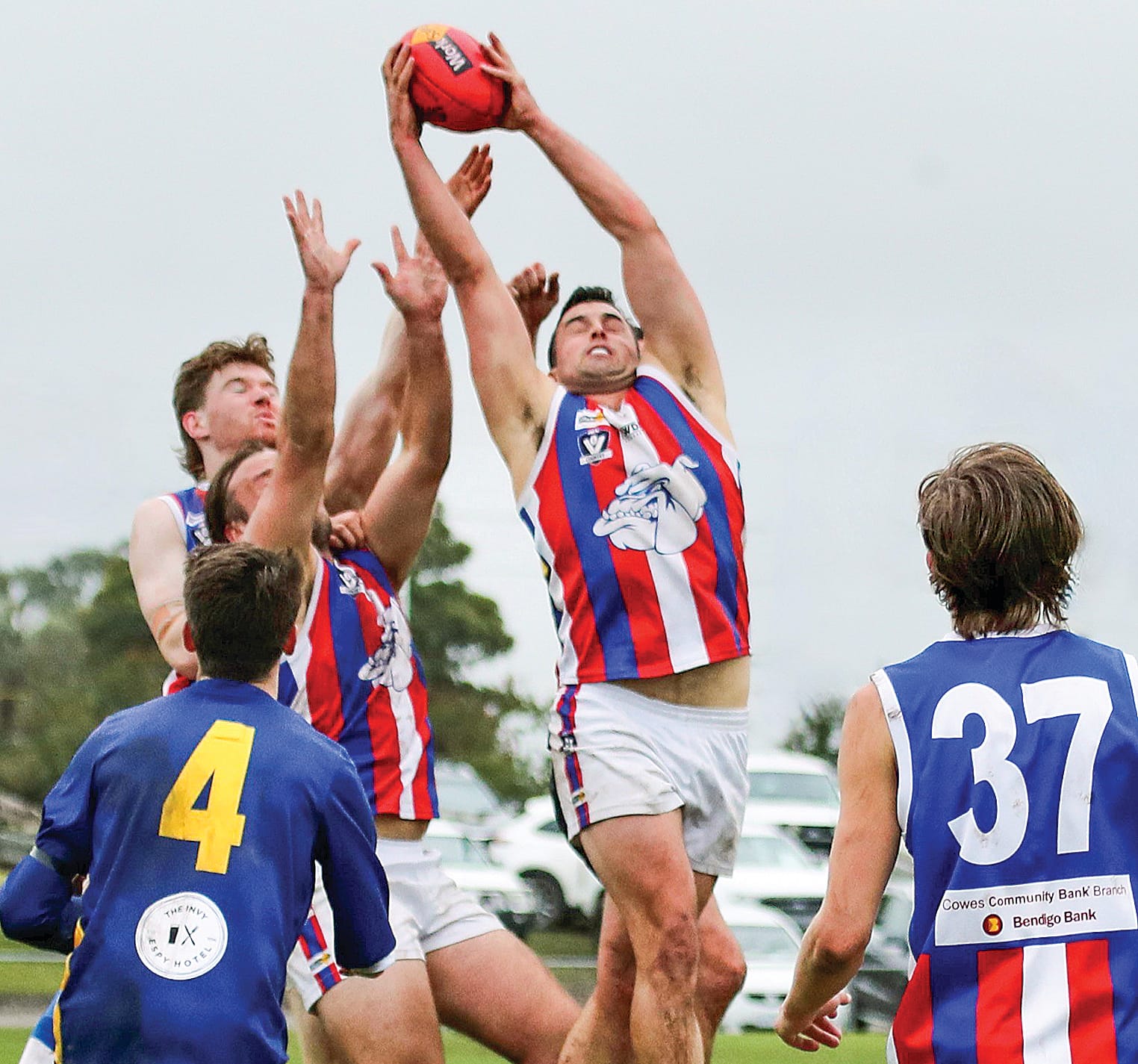 Max Blake takes the mark for Phillip Island. Photo: Carol Ratcliff.