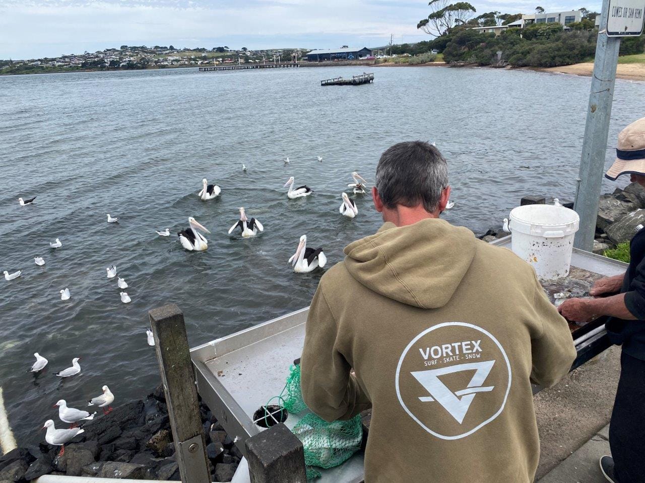 The pelicans were hanging around the fish cleaning table at Newhaven in good numbers as the boats came in with plenty of fish on board.