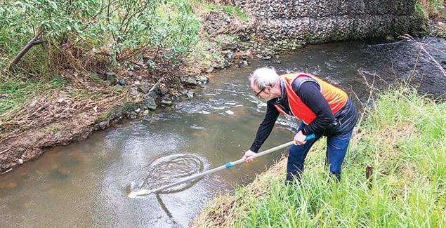 Connecting our creeks