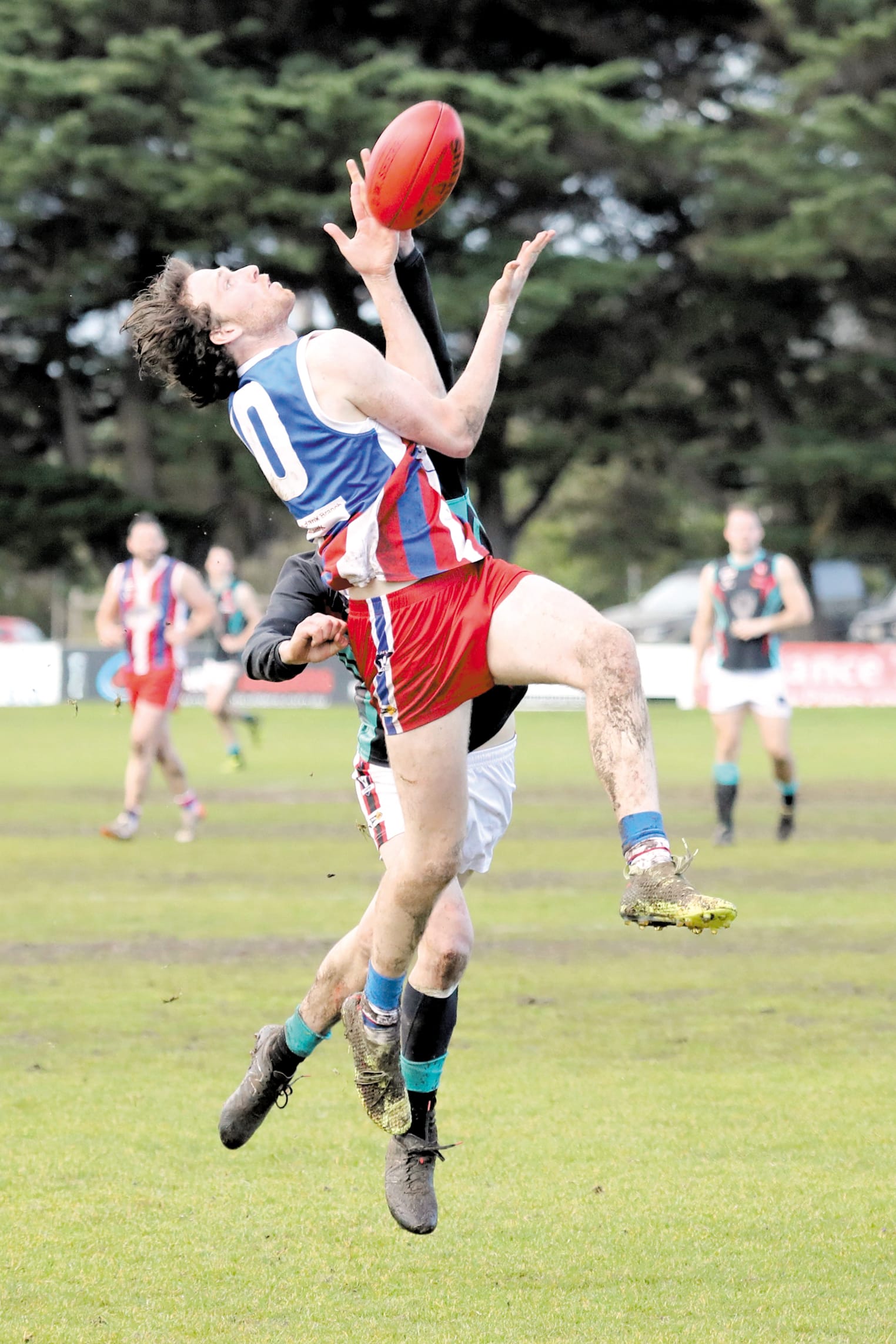 Cobras’ sting no match for Bulldogs’ bite