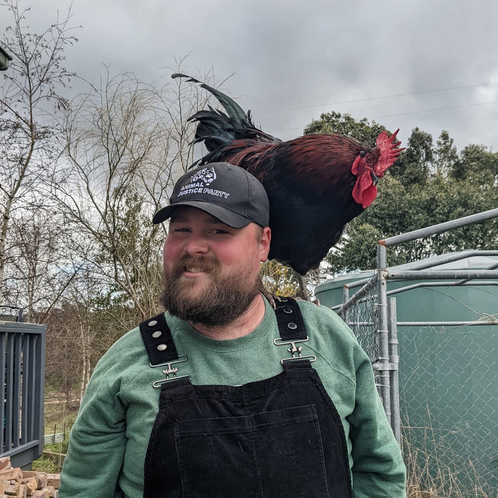 Local animal rescuer endorsed as candidate