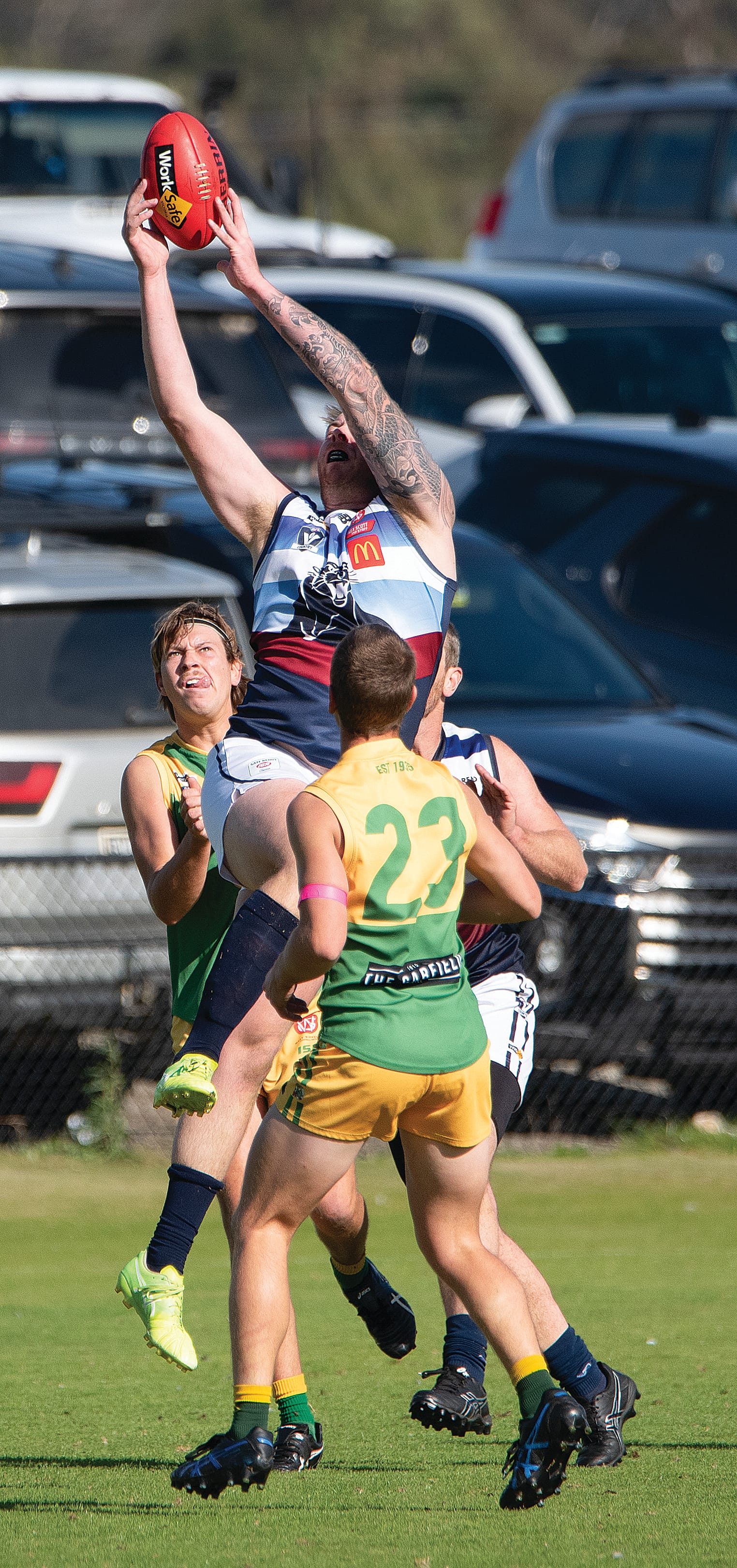 Callan Brinkmann goes up for the mark in the Reserves match. Photo: Anna Carson