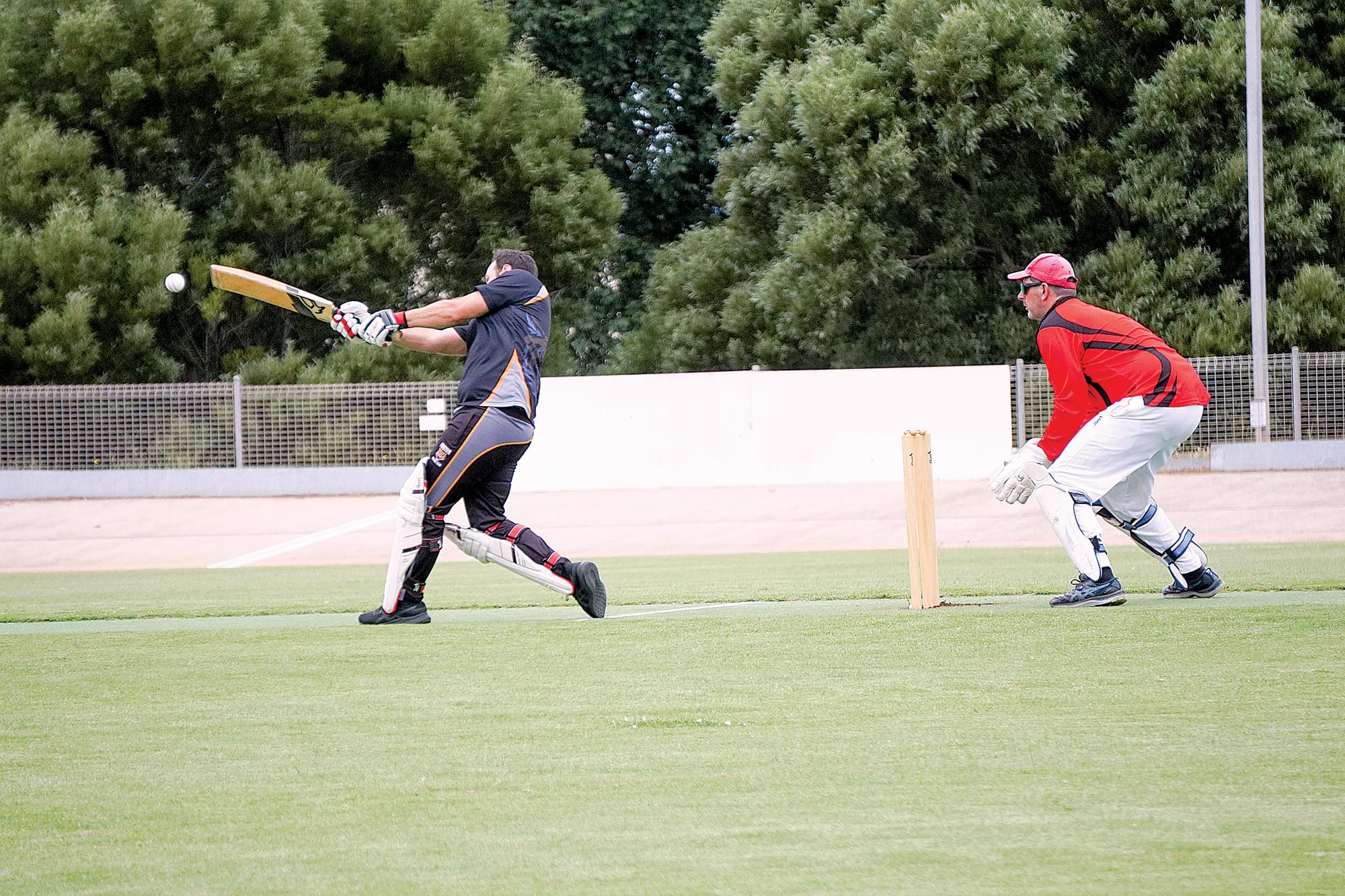 White thwarts Sharks’ batting order