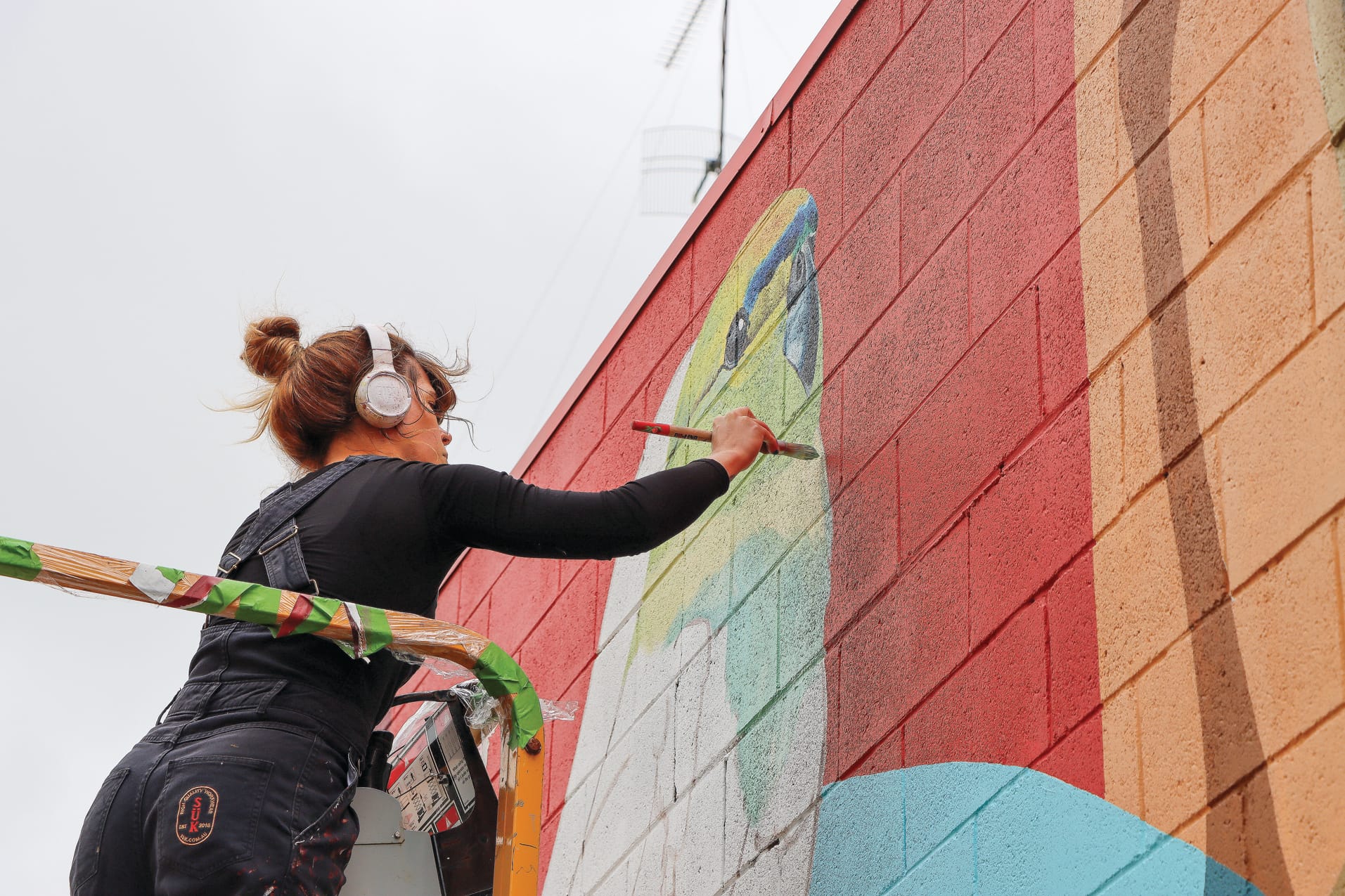 Local artist Melanie Caple’s new Leongatha mural