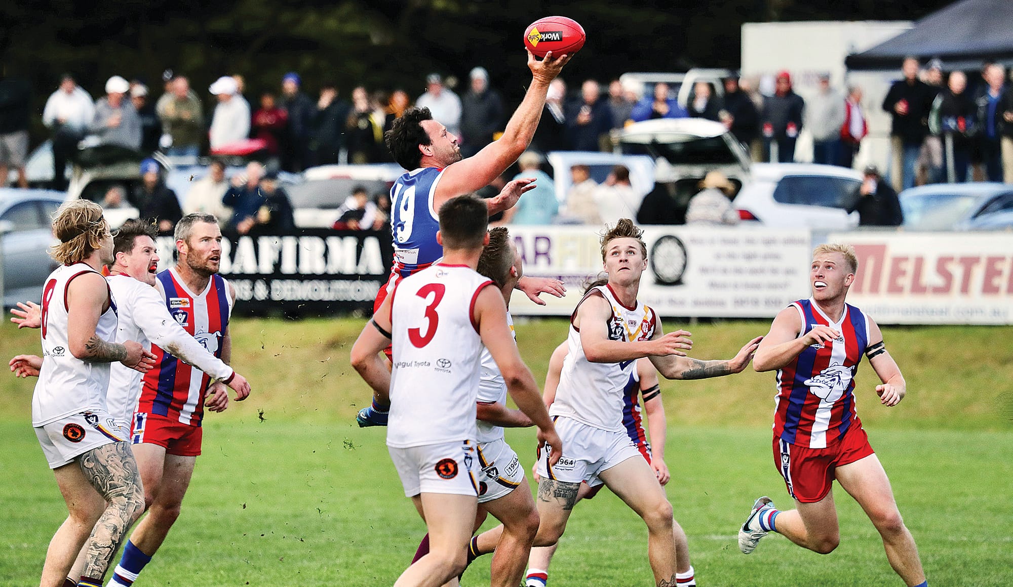 Bulldogs overcome plucky Dusties