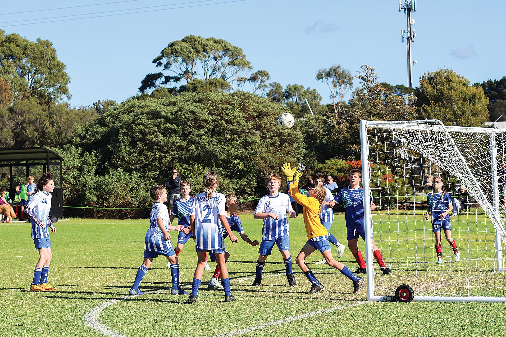 Female players demonstrate high-quality skill