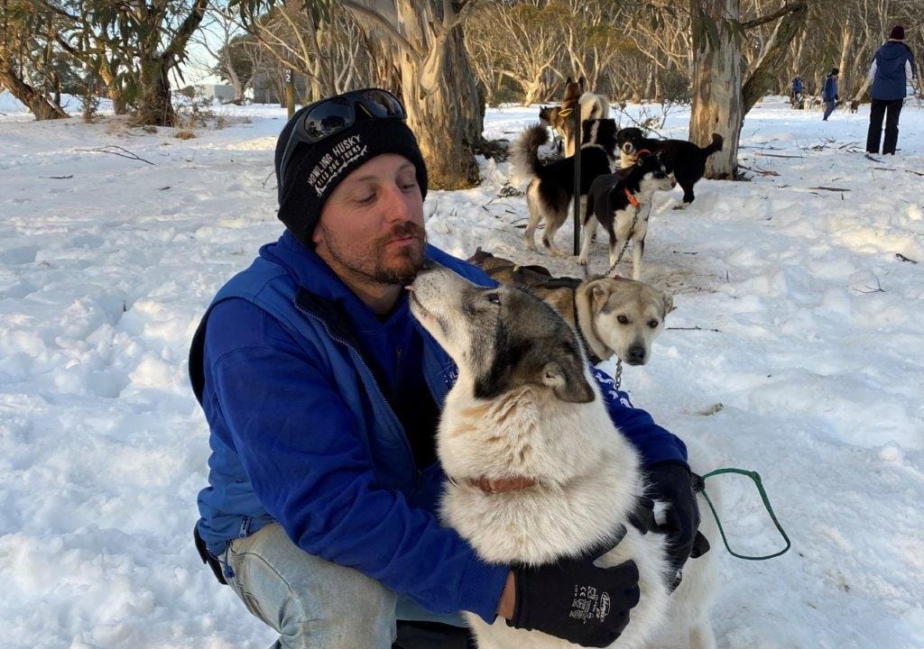 Walk, ski, ride or mush on the wild side at Mt Hotham