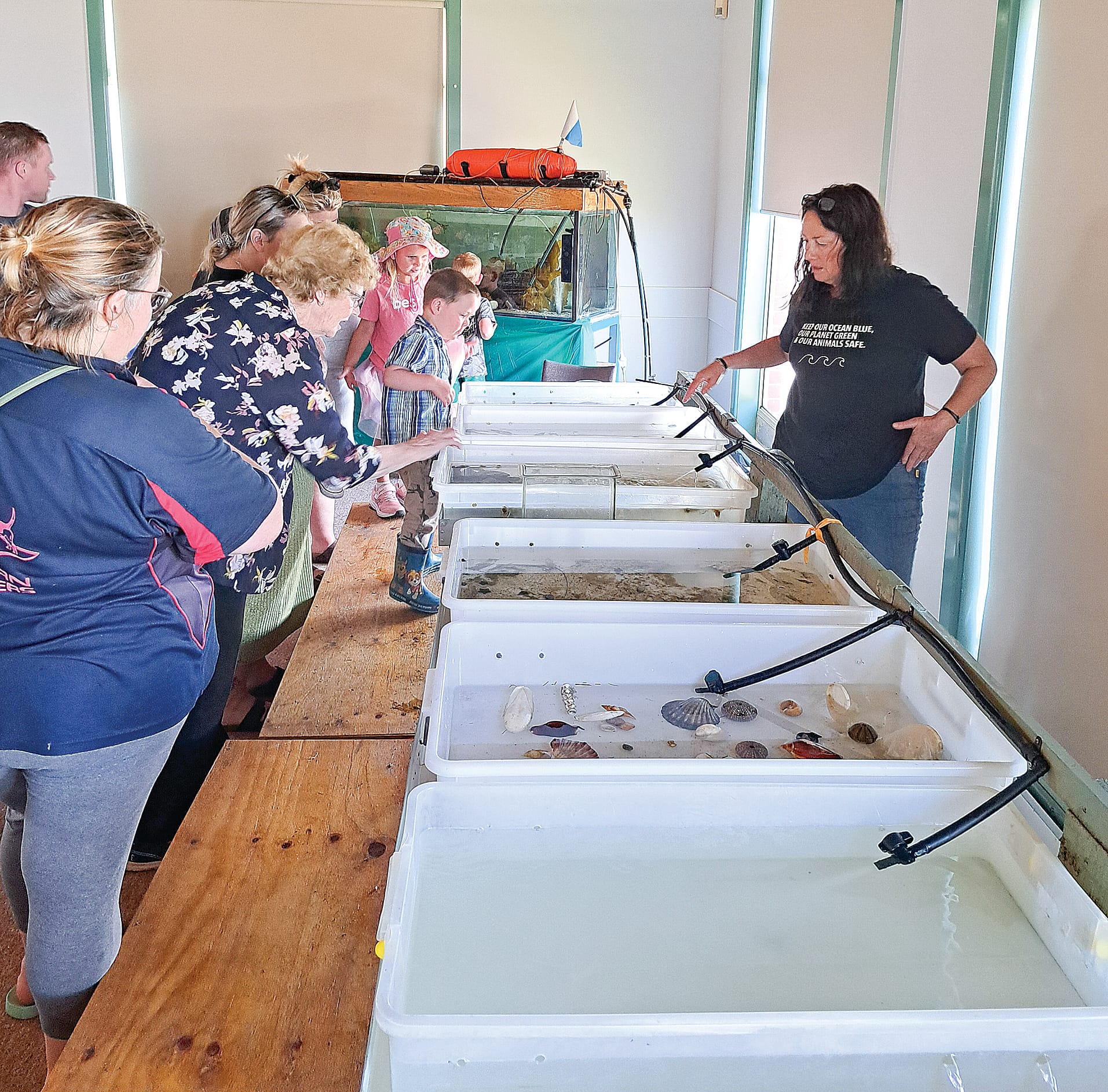 Explore the local marine life at the Seadays Festival 2025 in Port Welshpool.
