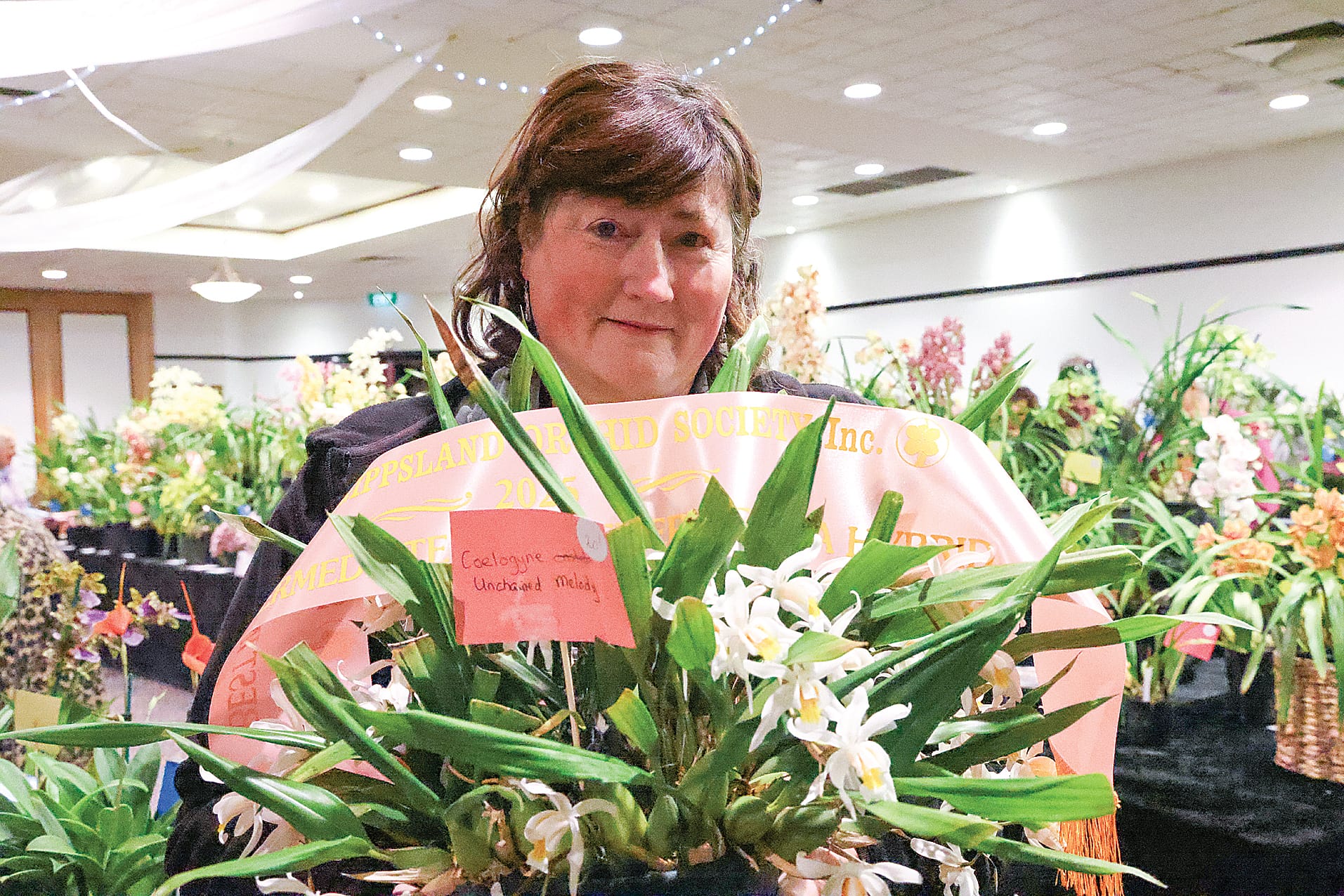 Christine Peters Best Intermediate Any Other Genre (Coelogyne Unchained Melody). B23_3725