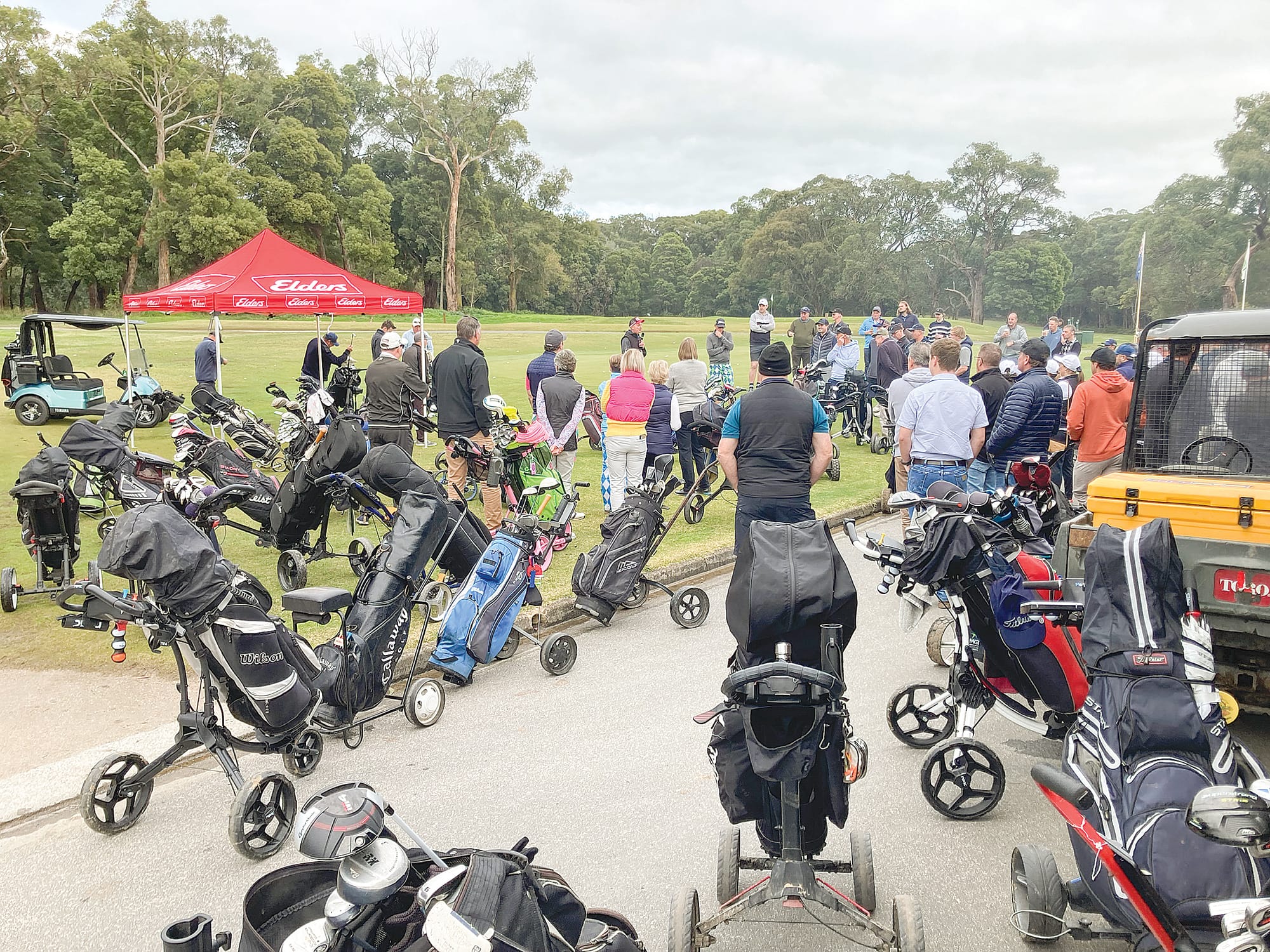 Swinging for a worthy cause