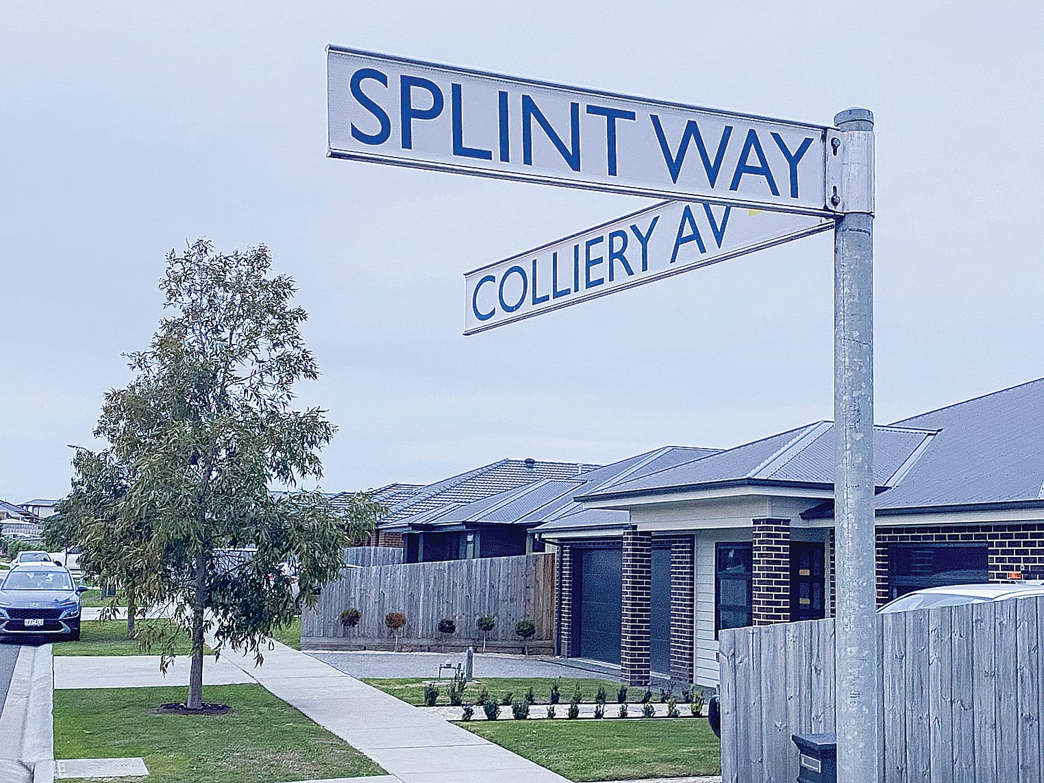 Unbelievably, the environmental overlays were applied to established residential properties like these ones in the former Summerfields Estate that had long passed all of planning and building requirements of the day.