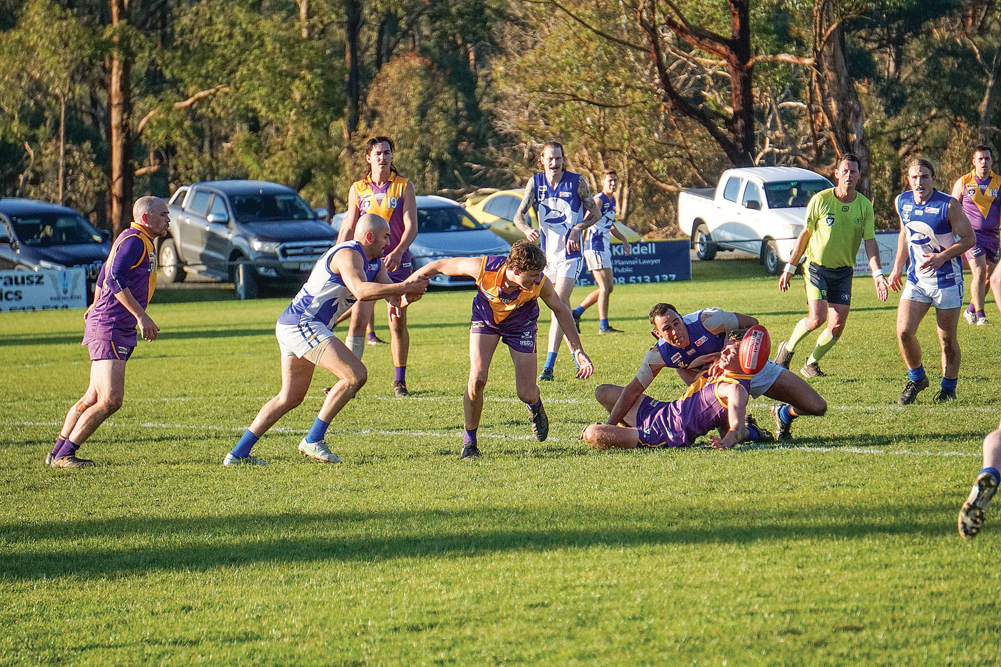 Tigers undone by the Sharks