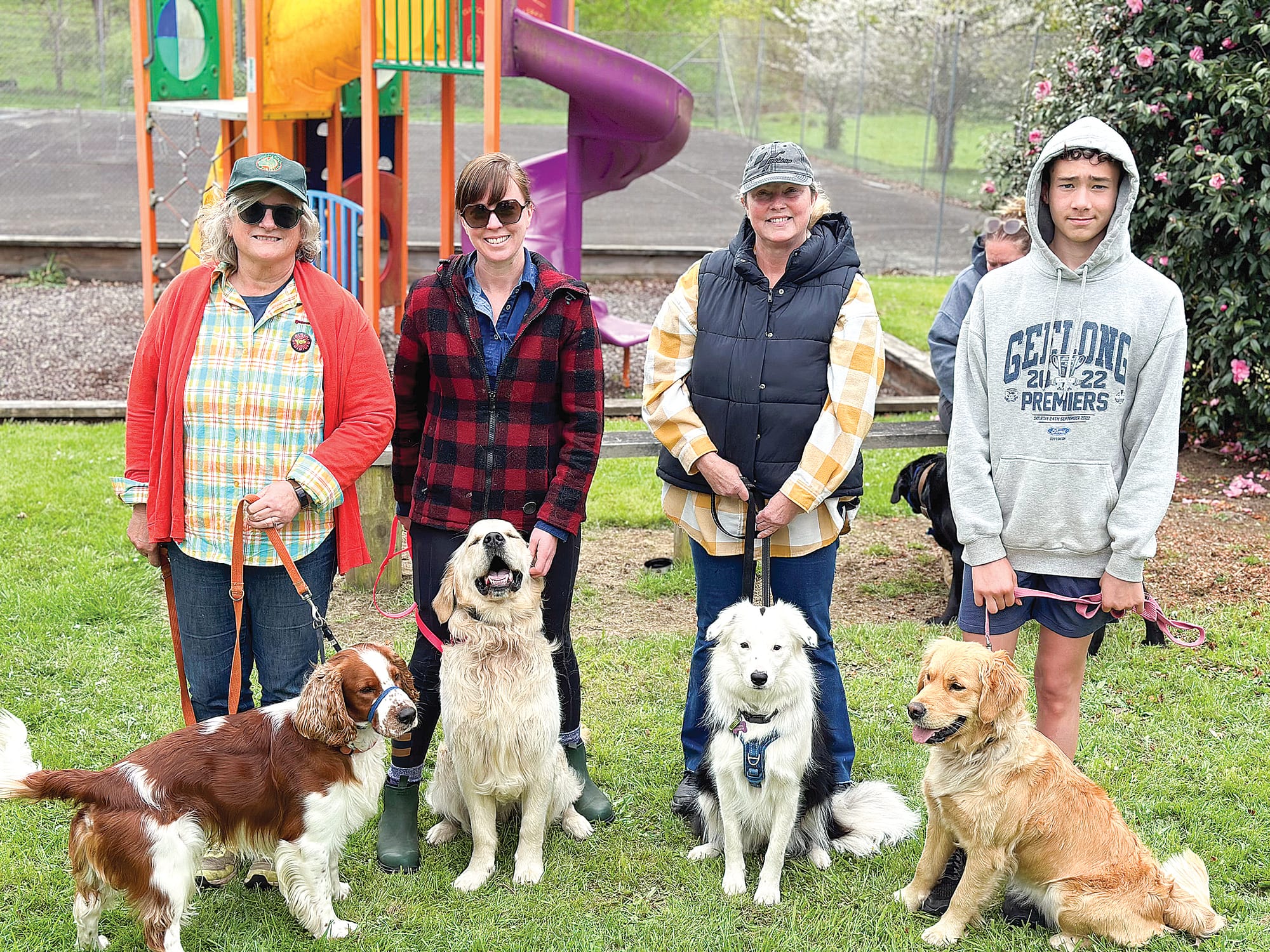 Training dogs to avoid snakes