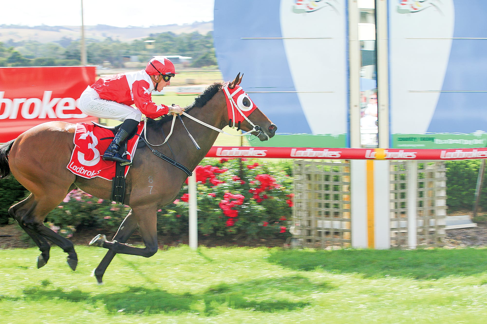 Danny O’Brien MP 0-58 Handicap winner Romania. C50_1123