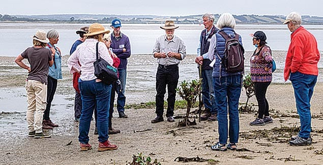 Key project to restore coastal mangroves