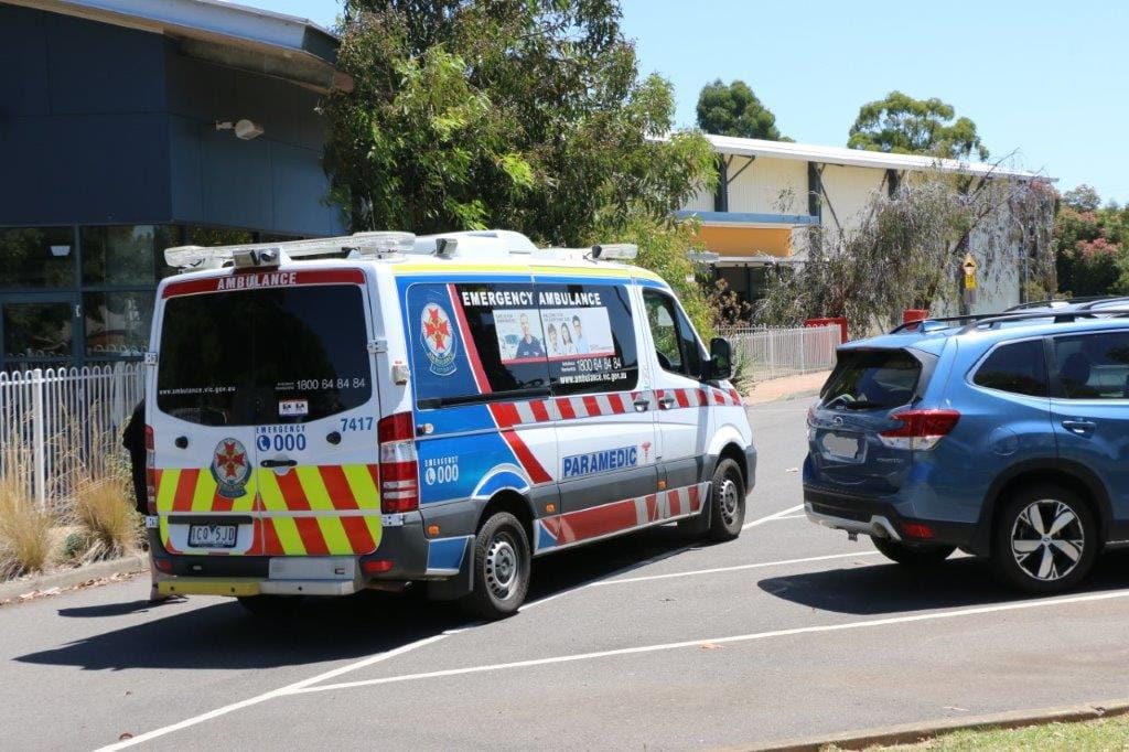 Heat warning: Don’t leave kids or pets in cars
