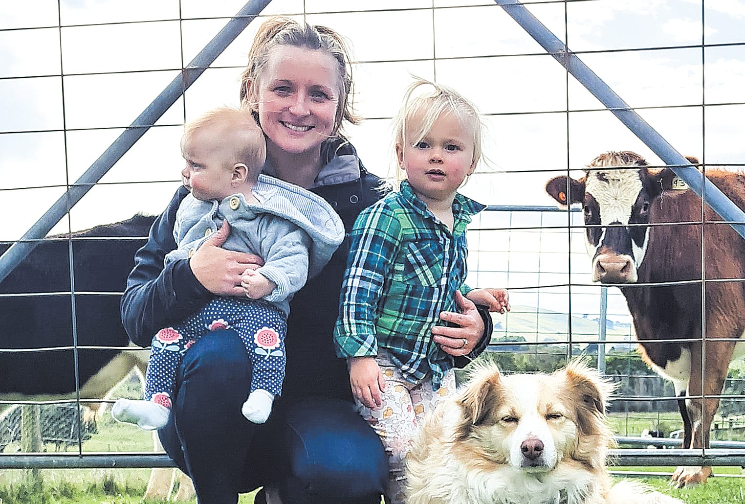 Life’s idyllic living in a home amongst the gum trees