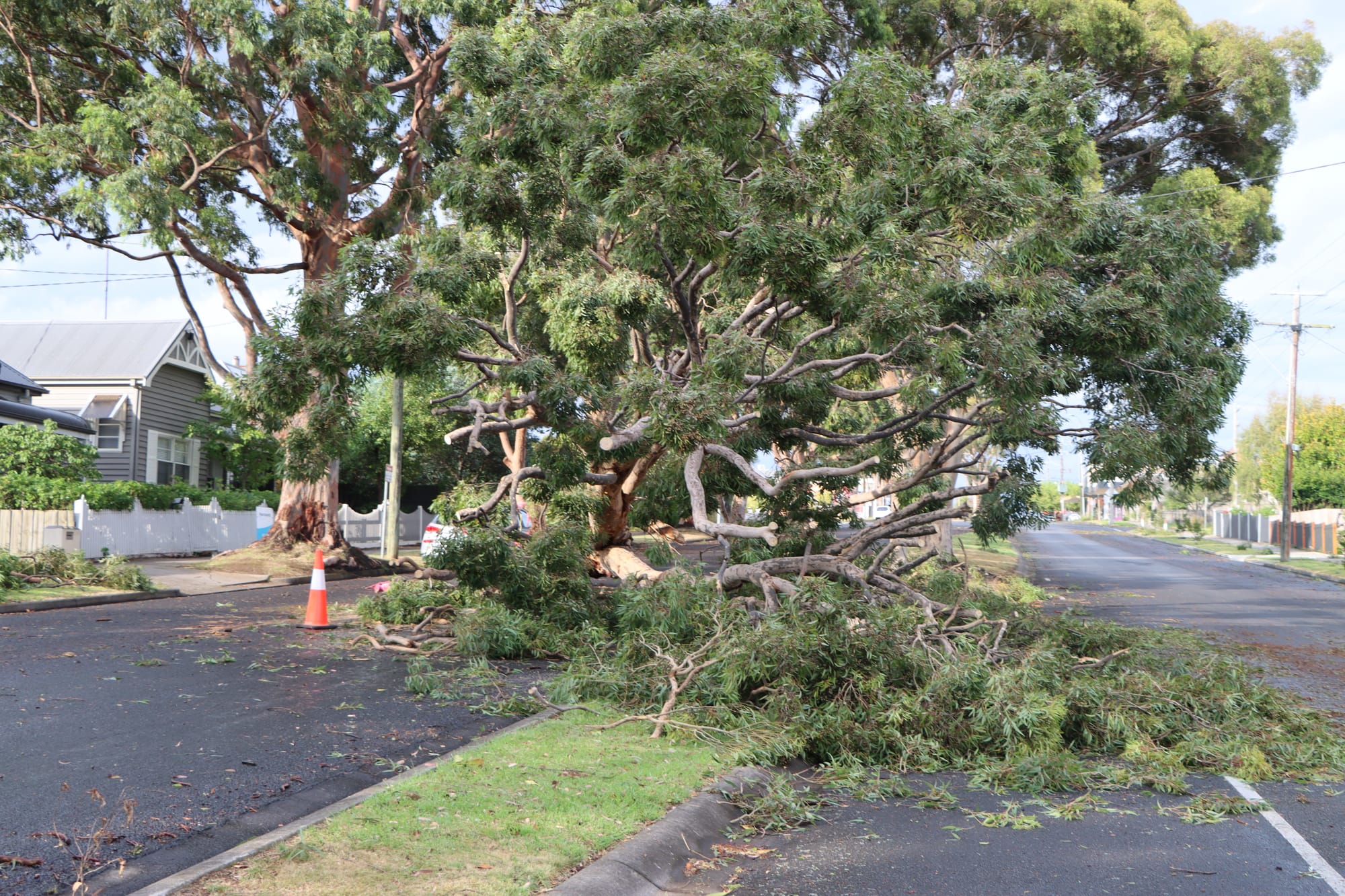 Free Green waste disposal in South Gippsland Shire