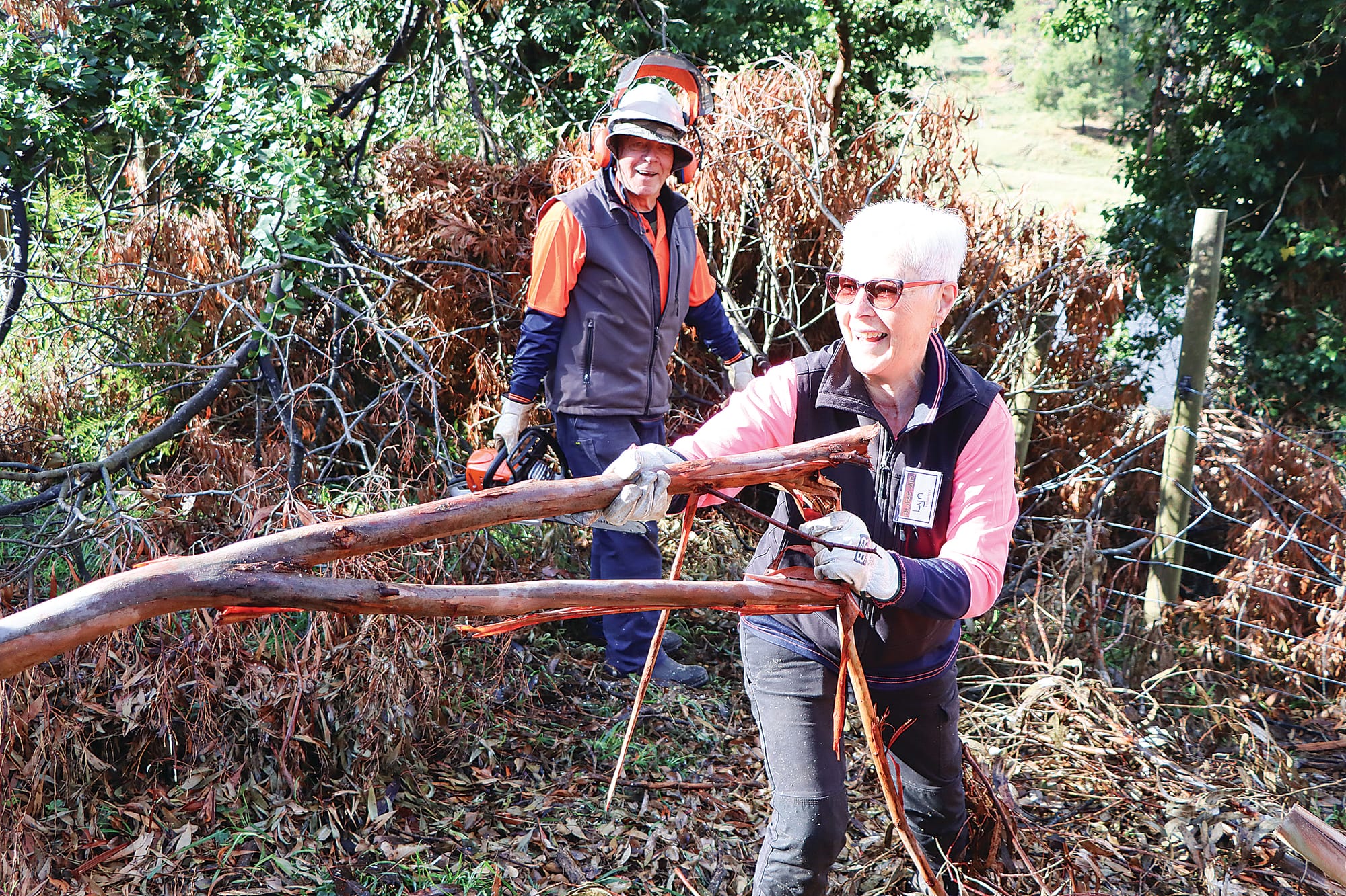 Lyn Arnel tackles a fallen branch while her husband Gordon looks on. A03_1624