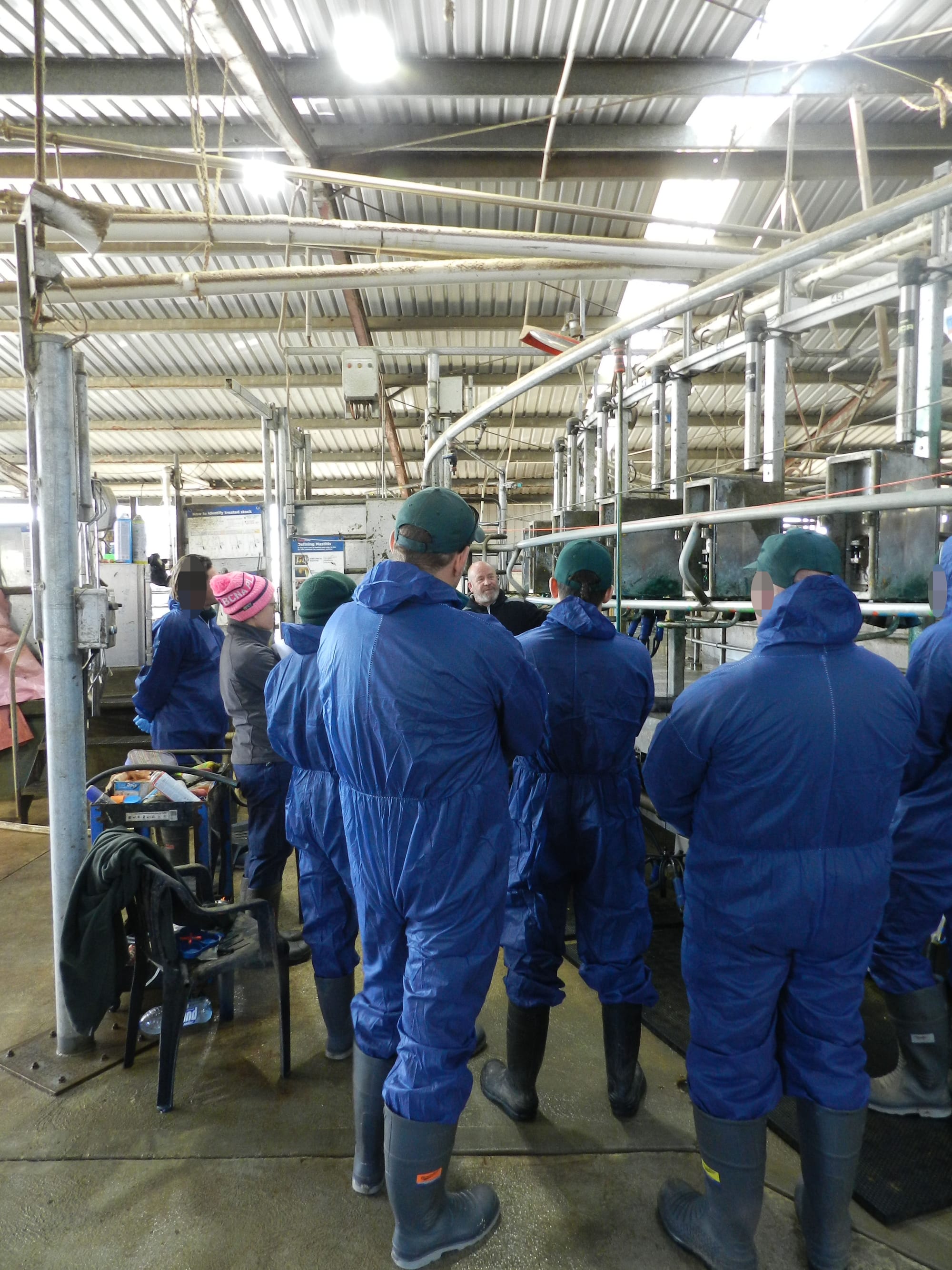 Intensive dairy industry training: A first for men leaving prison