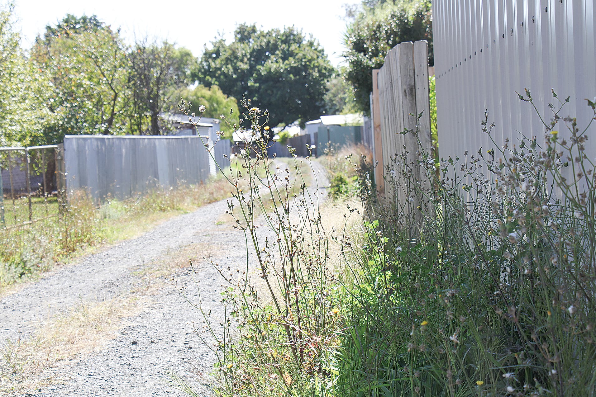 Wonthaggi’s back laneways have been neglected by Bass Coast Shire. B03_1025
