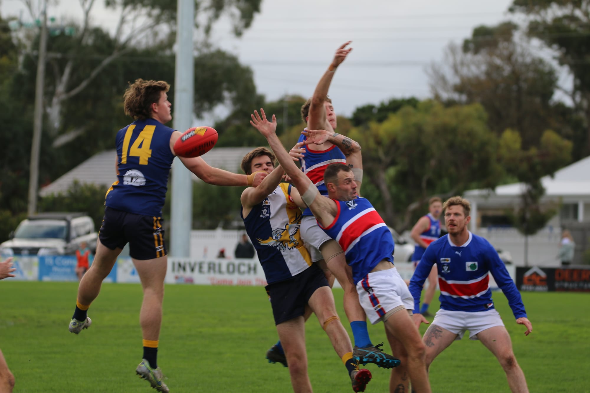 Sea Eagles do it easy over Dogs