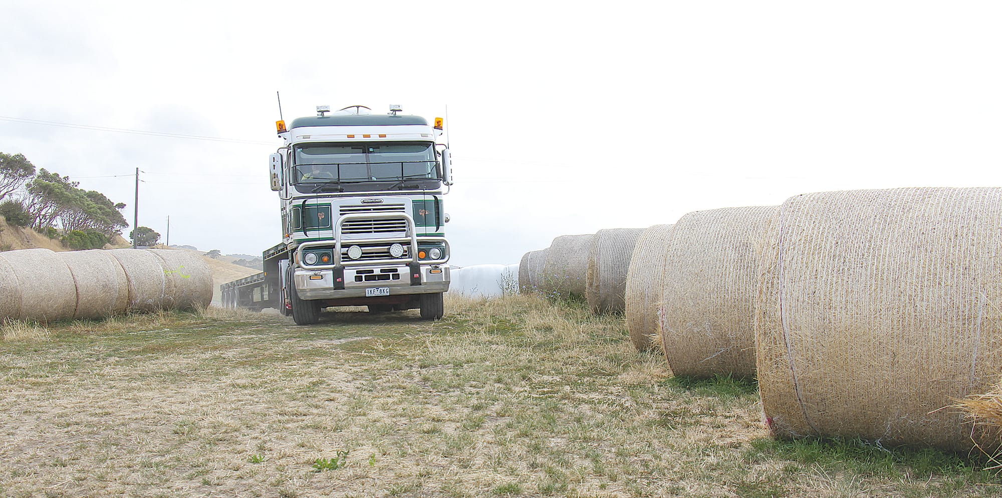 Local farmers donate hay for drought-ravaged South Australia