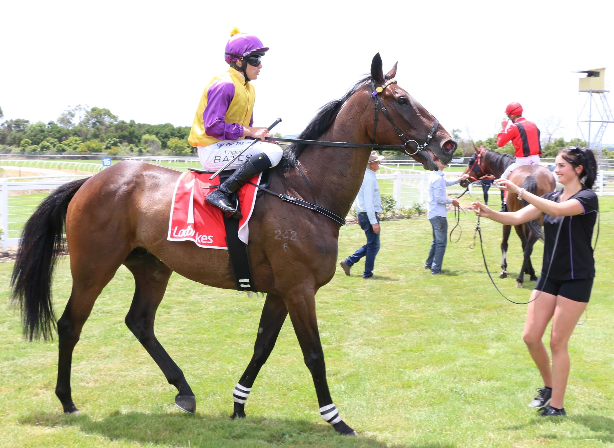 Logan Bates brings Border Leicester back to scale as the winner of Race 2 at Stony Creek.