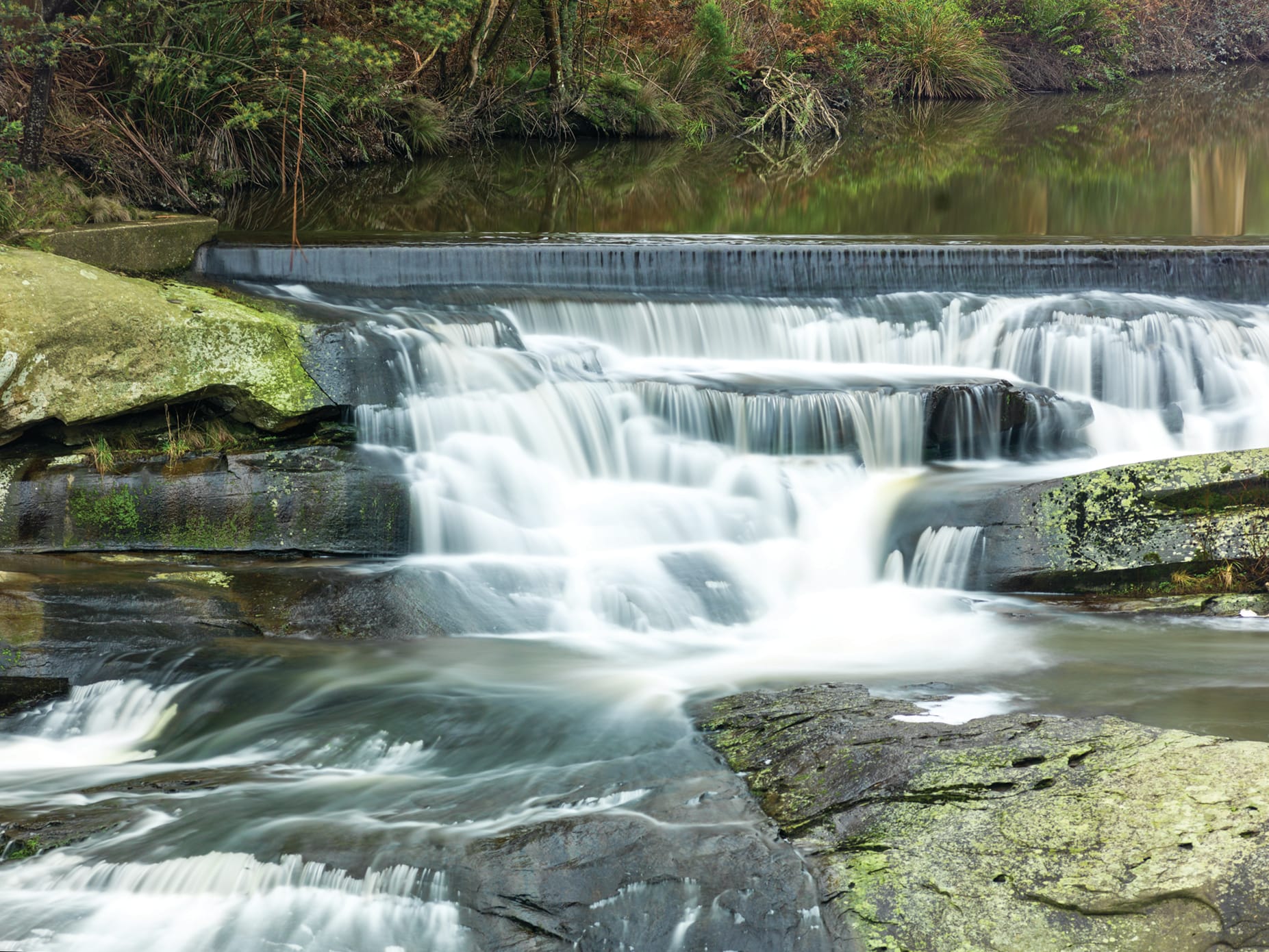 Last willow gone from Agnes River