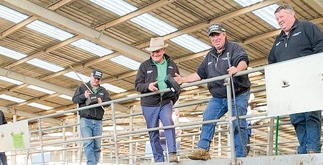 Straight through the middle!