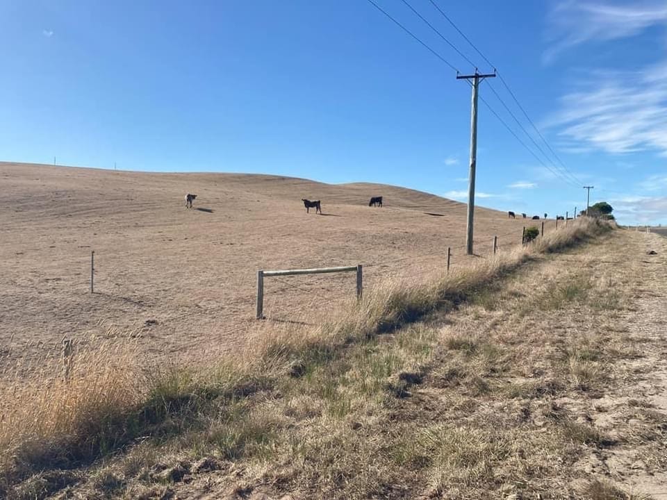 This King Island in the grips of the worst drought in a century.