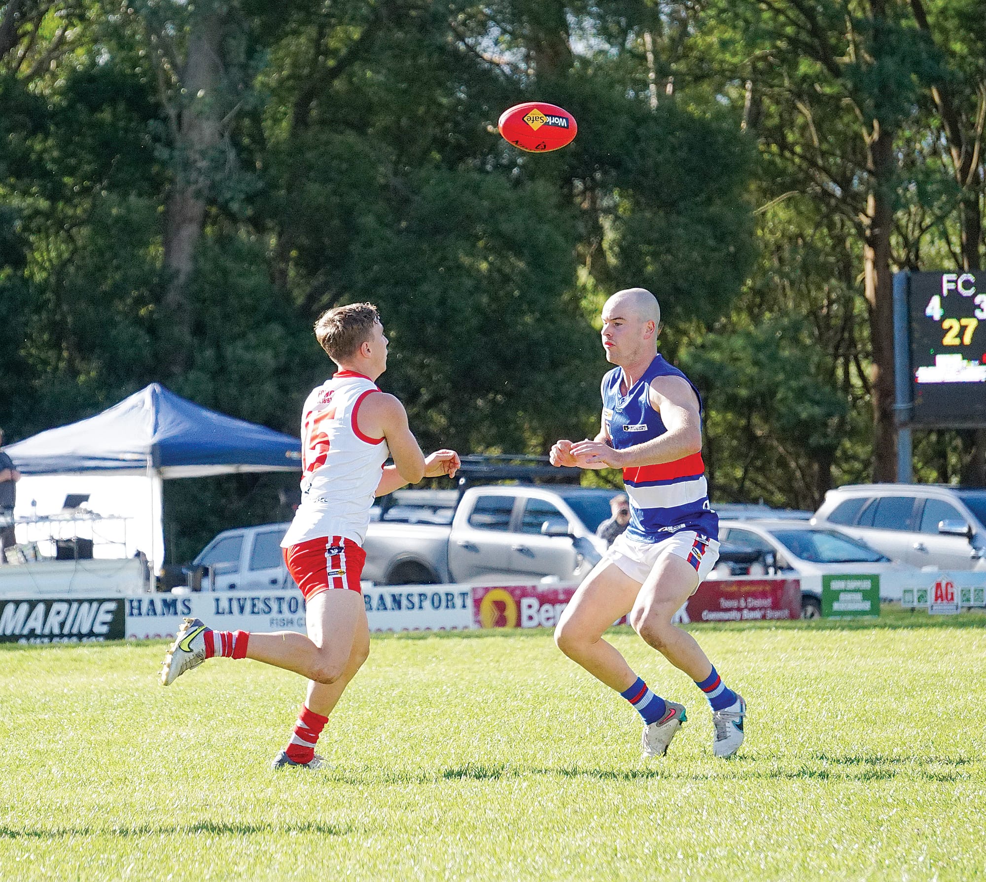 Fish Creek goes over the top! Ns24_1624