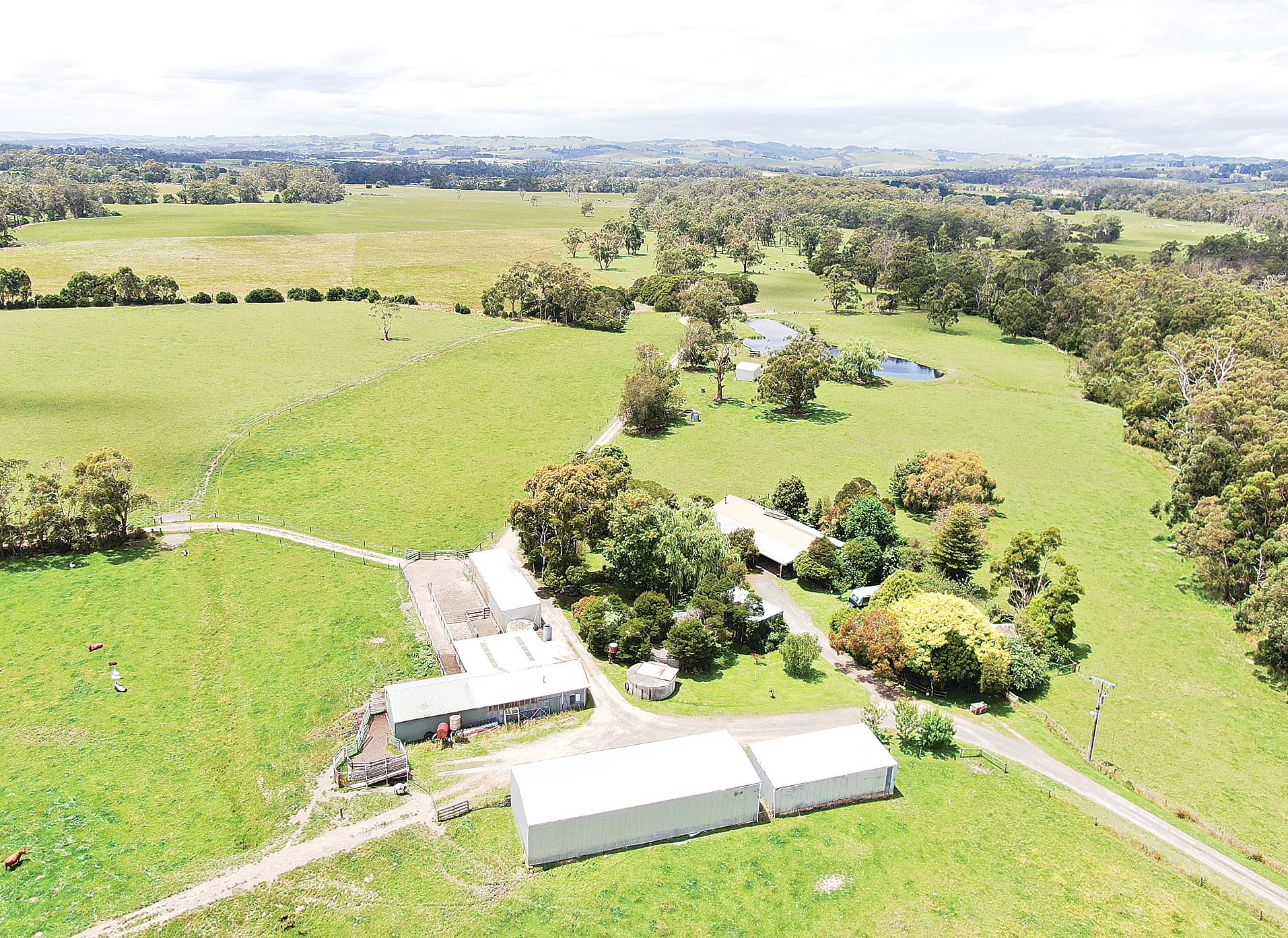 ‘Scottsdale’ Stony Creek – highly productive cattle fattening or breeding property