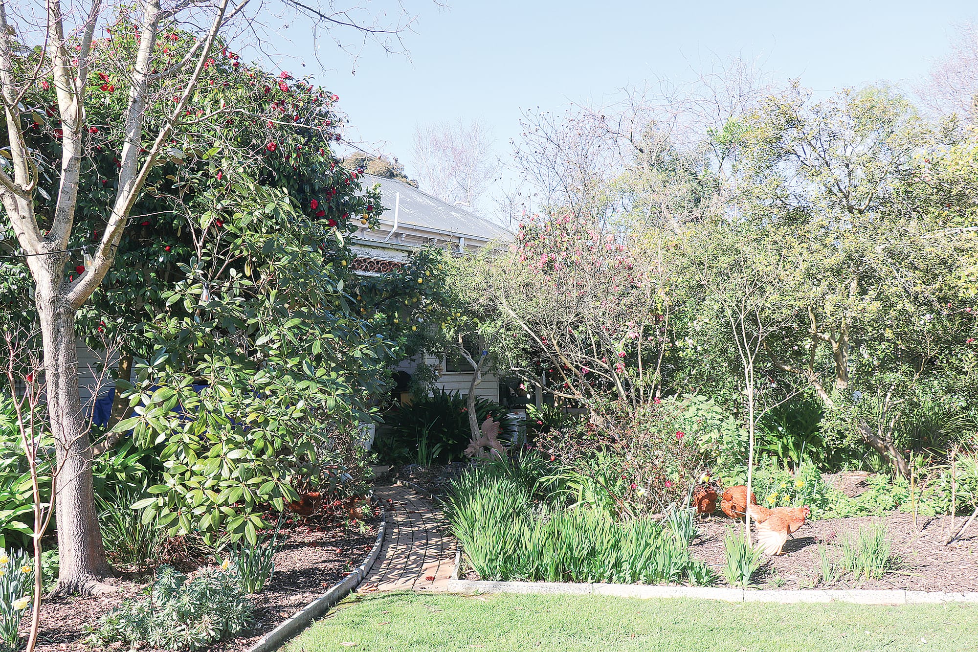 Register your garden. A fundraiser for Leongatha and Manna Gum Community Houses. Z02_3523 