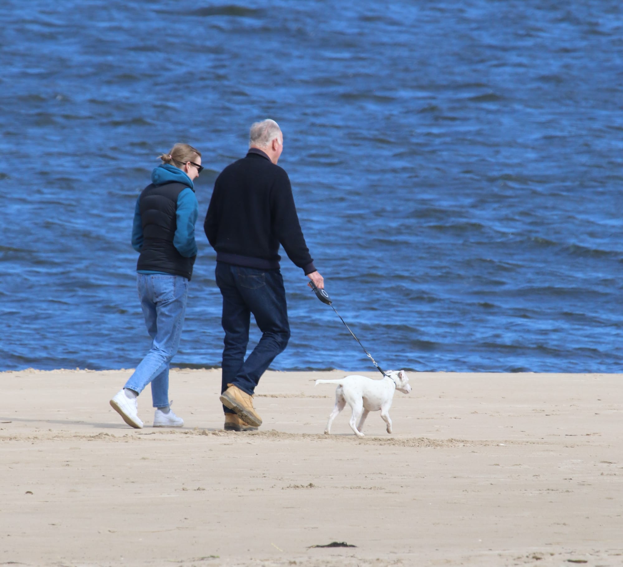 Walking a dog on the beach isn't as easy as it used to be especially over the summer holidays but finding out information on what to expect when you get there is even harder.