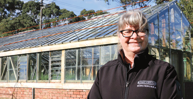 Coal Creek greenhouse gets green light