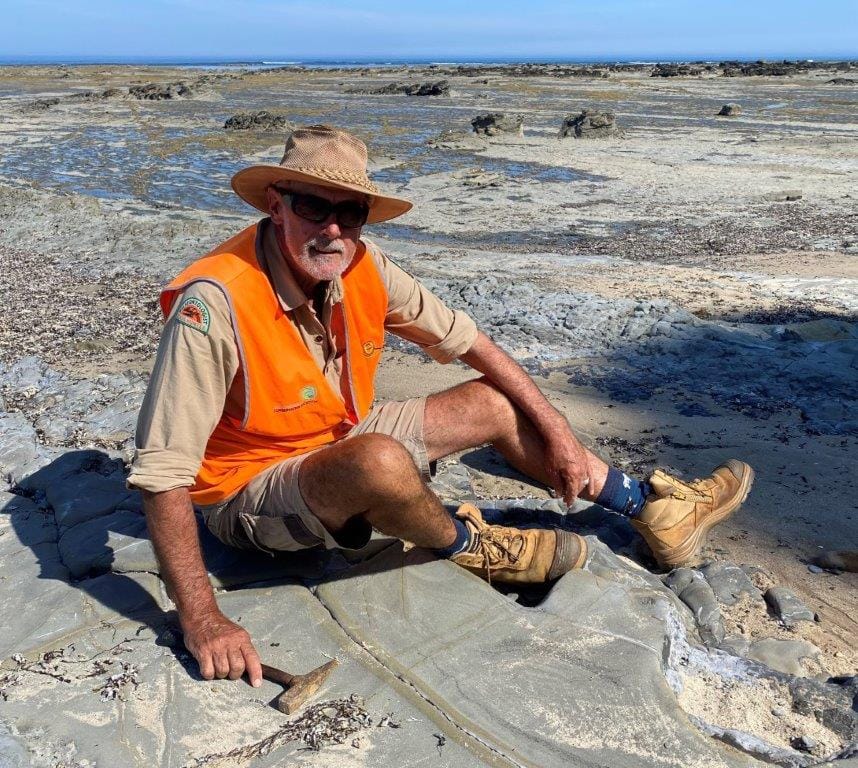 ‘World’s oldest’ megaraptorid bone found at Shack Bay
