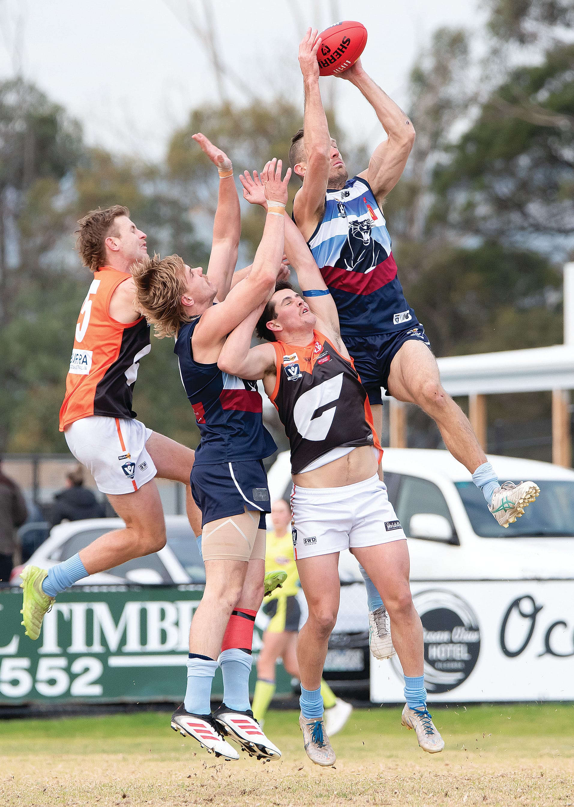 Panthers retain Gus James Shield