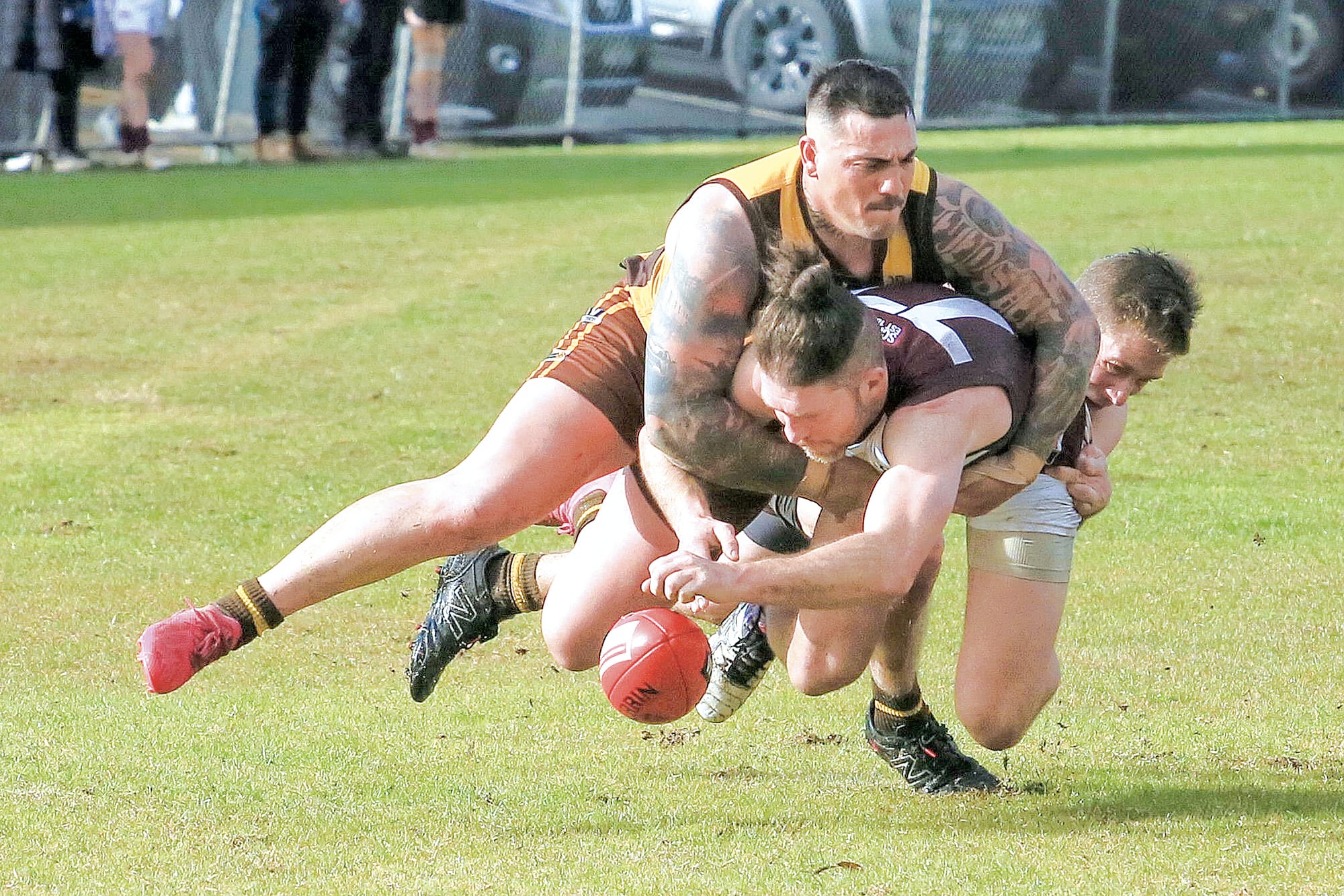 Tigers takes down Lions player Cameron Stone. Photo: G.S. Bruning