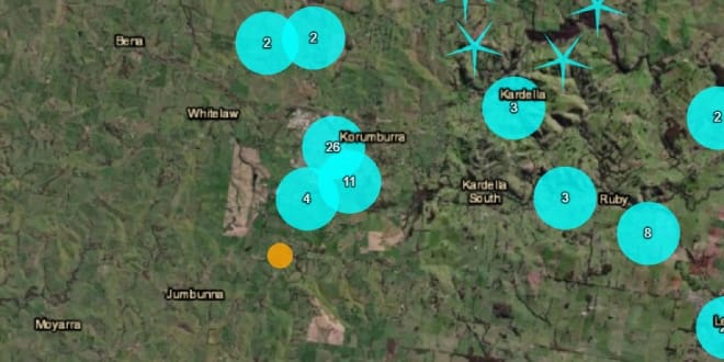 3.1 magnitude earthquake near Korumburra