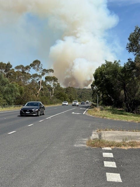 View from the Bass Highway