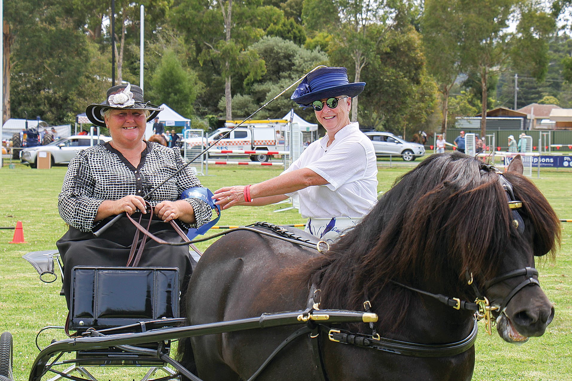 1st place Open Driver Kerry Buckleigh at the Foster Show with Shetland Pony Green Valley Kookie and Judge Deb Hoffrichter. B85_0825