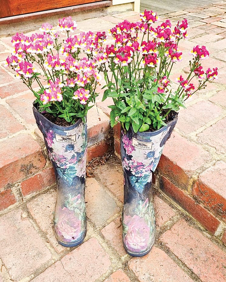 Susans garden in Poowong delighted visitors on the Sunday with its unusual features like these old gum boots with flowers growing from them. 